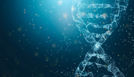 NMN i resweratrol: dynamiczny duet długowieczności