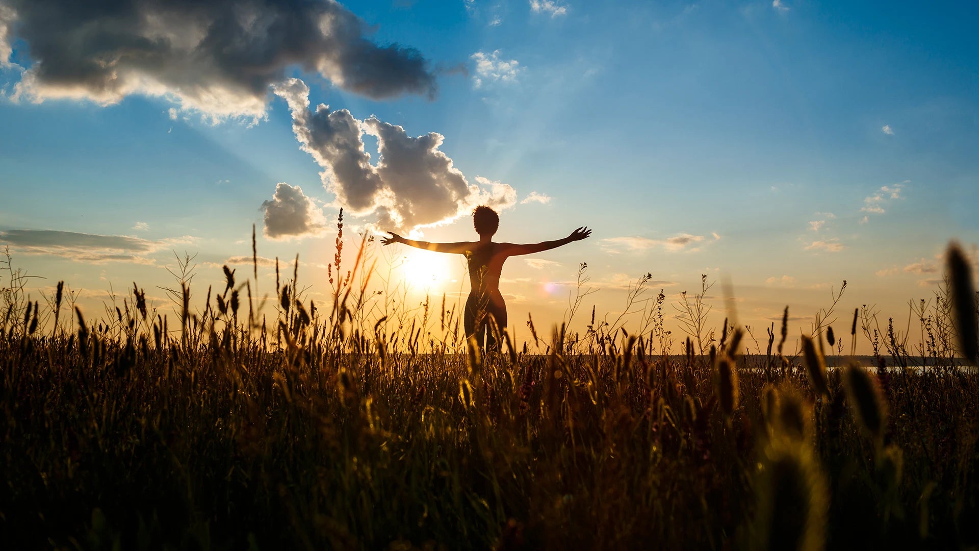 Okiełznać młodość: Droga Davida Sinclaira