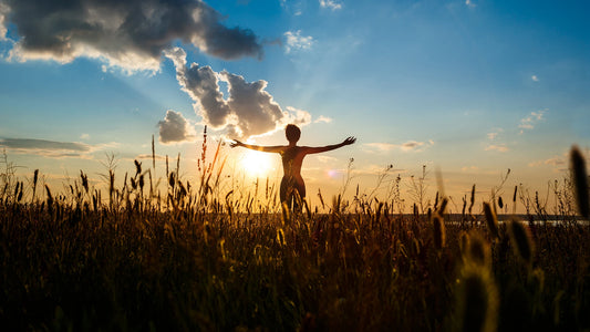 Okiełznać młodość: Droga Davida Sinclaira